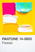 Load image into Gallery viewer, Pantone - original