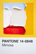 Load image into Gallery viewer, Pantone - original
