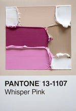 Load image into Gallery viewer, Pantone - original