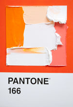 Load image into Gallery viewer, Pantone - original