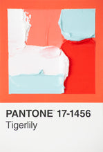 Load image into Gallery viewer, Pantone - original
