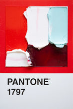 Load image into Gallery viewer, Pantone - original