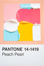 Load image into Gallery viewer, Pantone - original