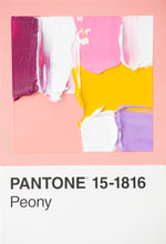 Load image into Gallery viewer, Pantone - original