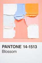 Load image into Gallery viewer, Pantone - original
