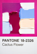 Load image into Gallery viewer, Pantone - original