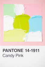Load image into Gallery viewer, Pantone - original