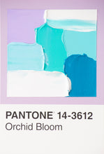 Load image into Gallery viewer, Pantone - original