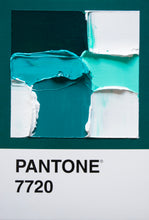 Load image into Gallery viewer, Pantone - original