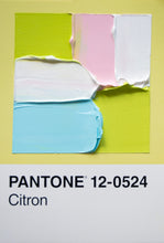 Load image into Gallery viewer, Pantone - original