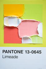 Load image into Gallery viewer, Pantone - original