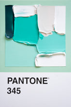 Load image into Gallery viewer, Pantone - original