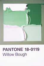 Load image into Gallery viewer, Pantone - original