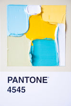 Load image into Gallery viewer, Pantone - original