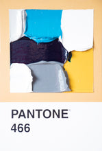 Load image into Gallery viewer, Pantone - original