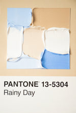 Load image into Gallery viewer, Pantone - original