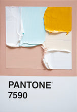 Load image into Gallery viewer, Pantone - original
