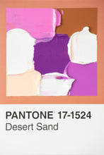 Load image into Gallery viewer, Pantone - original
