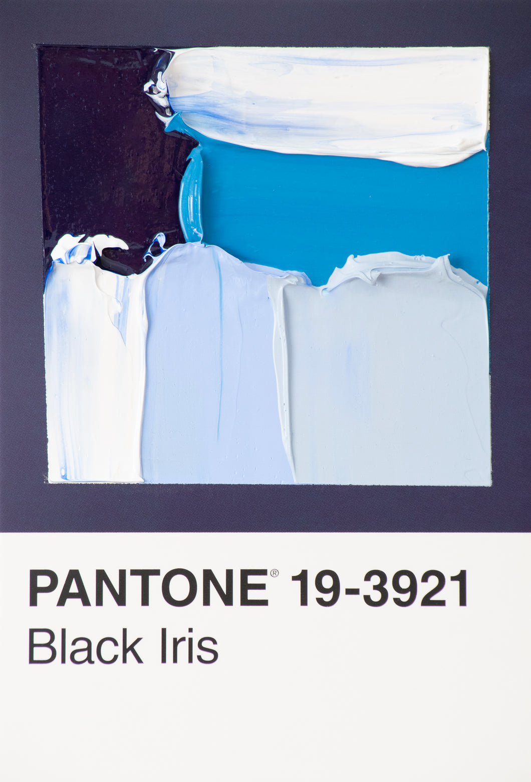 Pantone 19-3921 Black Iris