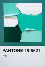 Load image into Gallery viewer, Pantone - original
