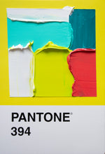 Load image into Gallery viewer, Pantone - original
