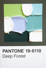 Charger l&#39;image dans la galerie, Pantone - original
