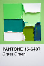 Charger l&#39;image dans la galerie, Pantone - original
