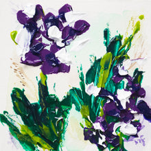 Charger l&#39;image dans la galerie, Floraison des iris
